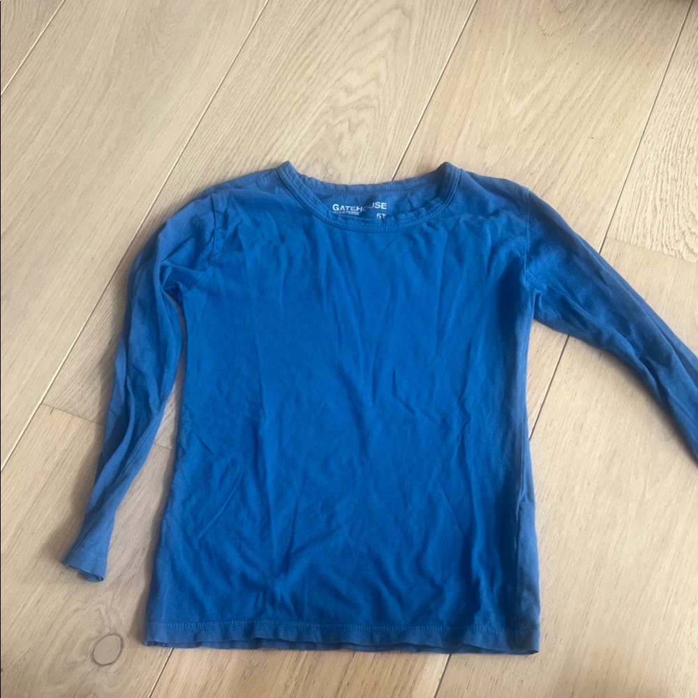 James Perse Vibrant Blue Long Sleeve Tee w graphic on back